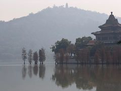 -顺峰山公园