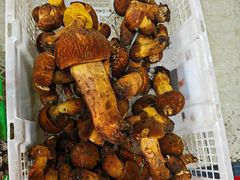 -双喜农庄·菌香园(安居家园店)