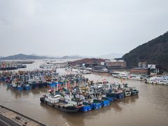 -沈家门渔港