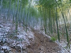 -安吉龙王山风景区