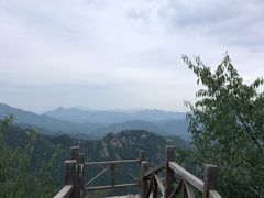 -大岭沟猕猴桃谷风景区