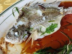 -八仔大富楼·河鲜(西江店)