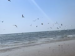 -老虎石海上公园