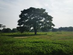 -汉长安城未央宫国家考古遗址公园