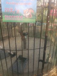 -萌宠亲子动物乐园(槐房万达店)