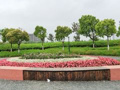 -春花秋色城市公园