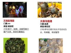 -巧克力渔家.小船海鲜胶东菜(万平口店)