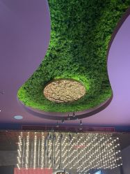 -花隐·美芙炫海菲秀皮肤管理中心