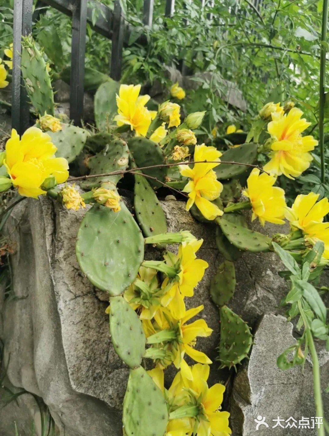 大掌柜家特色菜你猜中几个