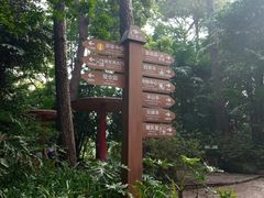 -白云山风景名胜区