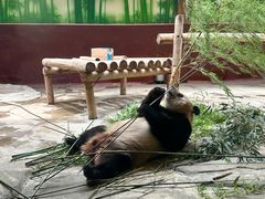 -杭州野生动物世界