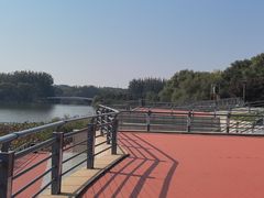 -大兴滨河森林公园