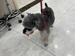 -安安宠医宠物医院·异宠·犬猫内科(岳阳分院)