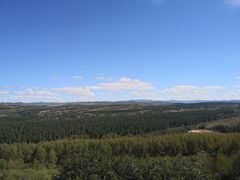 -塞罕坝国家级自然保护区