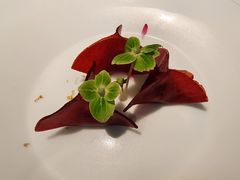 -觀芷隐轩
