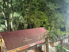 -巴倒烫陆派火锅山庄(南山总店)