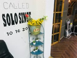 -Hair Solo
