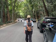 -火炉山森林公园