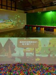 -恐龙探索乐园(磁器口店)