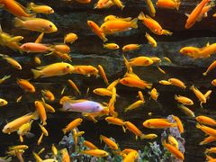 -多彩贵州城极地海洋世界