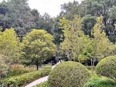 -上海佘山国家森林公园天马山园