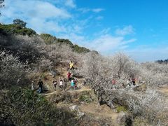 -广州市流溪河国家森林公园