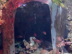 -太平洋海底世界