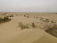 -亿利库布其七星湖沙漠生态旅游区