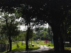 -立新湖公园