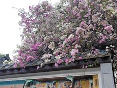 -深圳国际园林花卉博览园