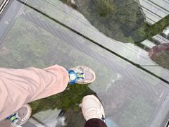 -九龙江国家森林公园