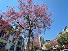 -阿妹小海鲜(下角店)