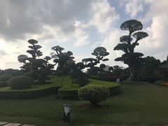 -南宁南湖公园