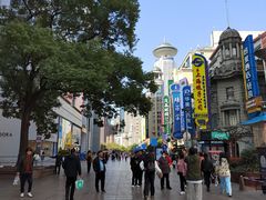 -新雅粤菜馆(南京东路店)