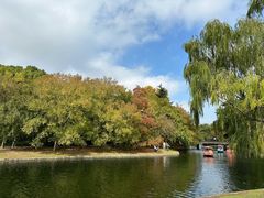 -上海共青森林公园