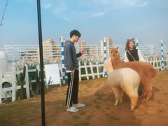 -Blue Concept Cafe&Farm·關於藍