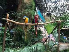 -杭州开元森泊度假乐园