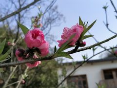 -常德桃花源景区