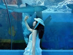 -合肥海洋世界