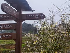 -雅安上里古镇