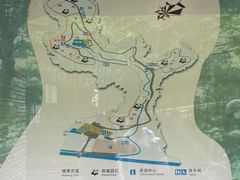 -都江堰中华大熊猫苑