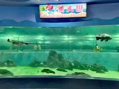 -苏州海洋馆