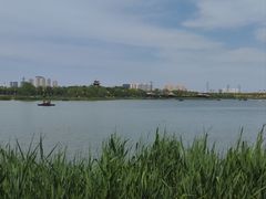 -水西公园