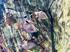 -沈阳海洋探索中心