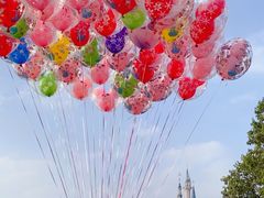 -上海迪士尼度假区