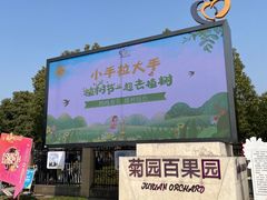-菊园百果园