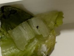 -麦当劳(仙林亚东城得来速店)