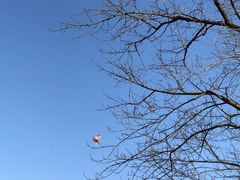 -南京市江宁方山