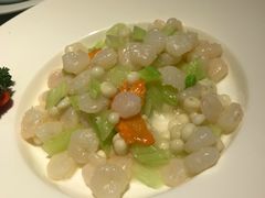 -圆苑(上海广场店)
