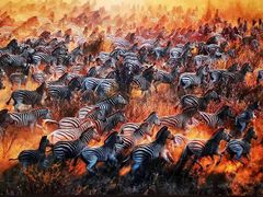 -罗红摄影艺术馆